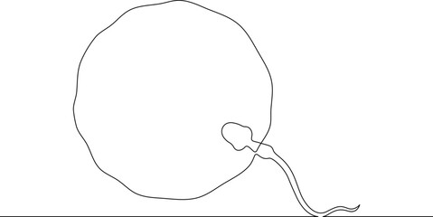 Continuous one line drawing Sperm and female egg. Conception. .Line art.One continuous line isolated illustration.Not AI.