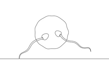 Continuous one line drawing Sperm and female egg. Conception. .Line art.One continuous line isolated illustration.Not AI.