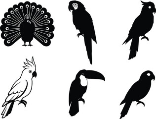 Peacock silhouette, parrot illustration, cockatoo bird, toucan design, exotic birds, tropical wildlife, bird silhouettes, decorative artwork, nature drawing, ornithology study © Soni