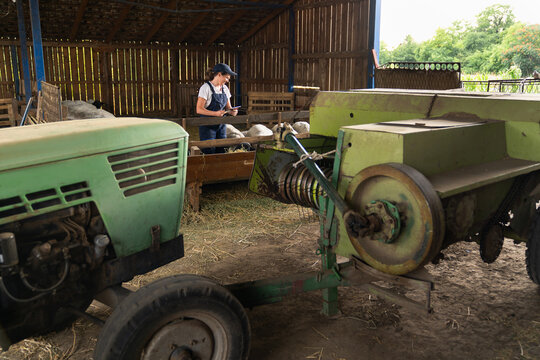 Farmer using digital tablet with sheep in barn on smart organic farm