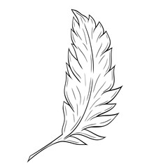Beautiful feather ink graphic. Vector graphic illustration. Feather outline isolated on white.For the design of postcards, posters, stickers, prints, wrapping paper 