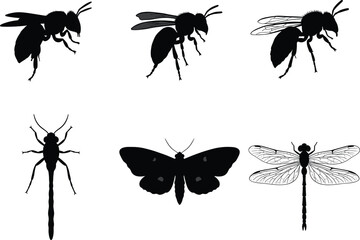 Silhouette insects collection, black insect icons, dragonfly butterfly bee wasp vector, entomology illustration, insect morphology design, educational science graphic set
