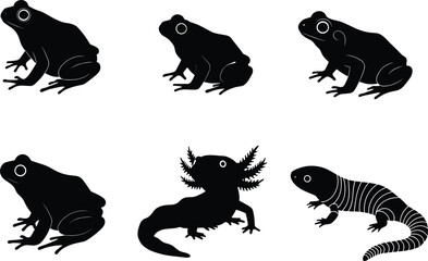 Amphibian silhouettes, frog outline, axolotl shape, lizard figure, reptile shadow, zoology illustration, biology study, wildlife design, nature animals, educational reference