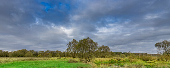 Field with trees and a cloudy sky