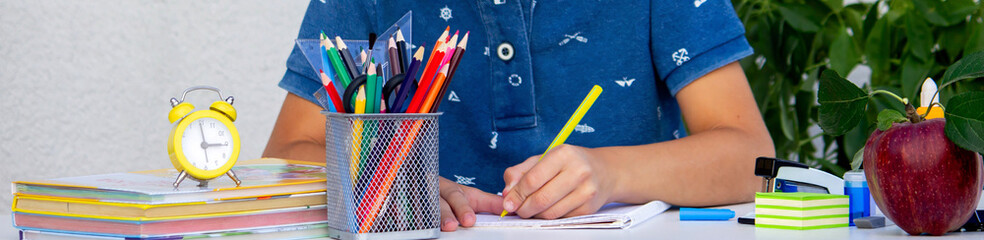 Smiling boy studying with books. School