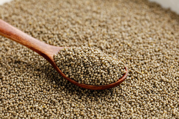 Organic Millet Grains Highland Shanxi China Wooden Spoon Healthy Superfood Ancient Grain Gluten Free Natural Ingredient