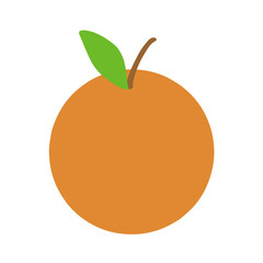 vector illustration of an orange