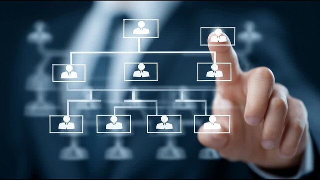 Business professional interacting with a digital organizational chart interface.