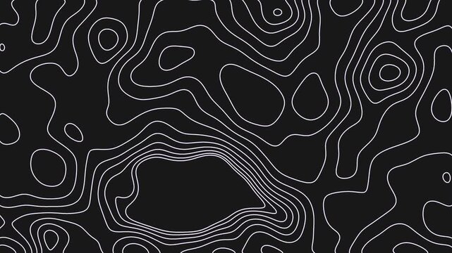 Modern topographic map design element for sophisticated backgrounds and overlays