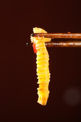 Shredded Konjac Noodles with Spicy Peppers in Chopsticks - Healthy Vegetarian Asian Food Ingredient