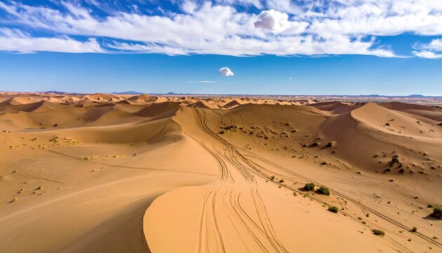 Desert dunes, tire tracks, vast landscape