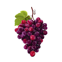 A vibrant, detailed vector illustration of a cluster of red grapes.