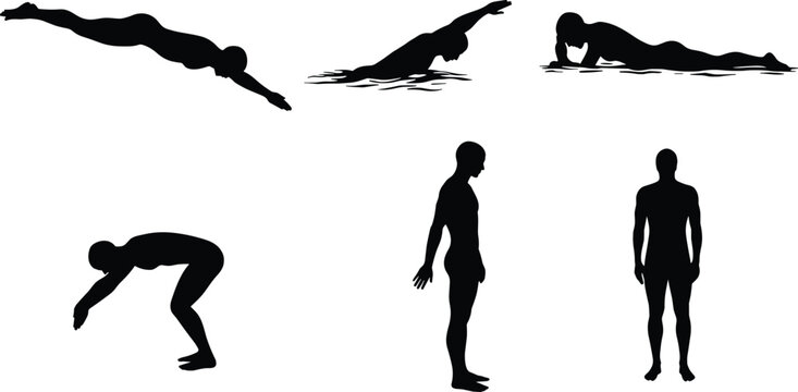 Silhouette swimmers diving, freestyle, breaststroke, standing poses, vector illustration of aquatic sports performance, human body movement, training, competition, and discipline