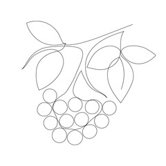 One Line Rowan Berries and Leaves