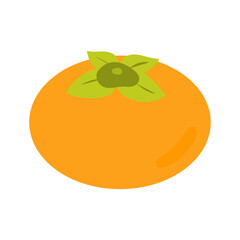 persimmon vector illustration isolated on white
