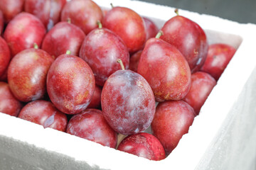 Fresh Red Plums in White Container - Healthy Organic Stone Fruit Harvest Display