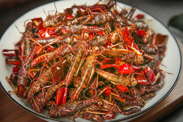 Stir-Fried Grasshoppers with Red Peppers Shandong Style Chinese Cuisine Edible Insects Traditional Asian Food