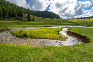 Ponor creek and sheep in meadow