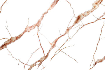 Intricate network of branching, light-tan lines against black