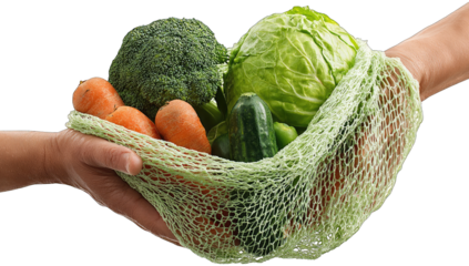 Hands holding a mesh bag filled with fresh vegetables