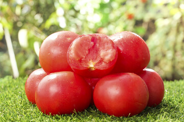 Fresh Red Tomatoes on Grass - Ripe Organic Vegetables with Natural Garden Background