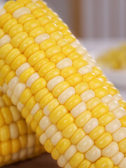Fresh Sweet Corn Cobs Close-Up - Yellow and White Kernels Detail Shot