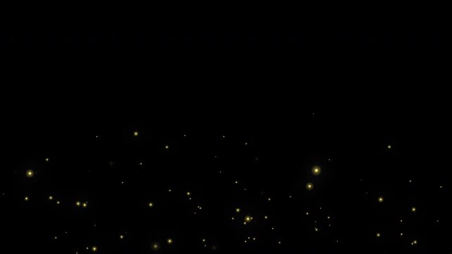 Floating firefly particles on transparent background