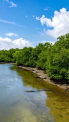 Fototapeta premium Sunny riverbank with lush greenery