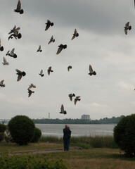 A view of a flock of pigeons taking flight against a gray sky. In the foreground is a couple standing with their backs to the viewer, watching the birds on a riverbank.