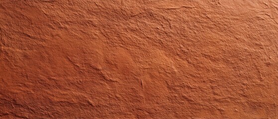 The rustic clay texture with warm brown tones and natural patterns.