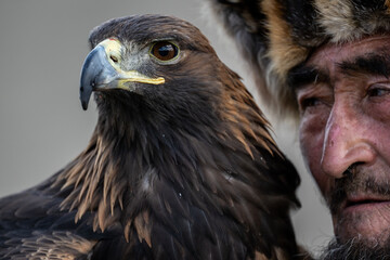 A Mongolian eagle hunter, a berkutchi, prepares to hunt with his bird on a September day in Mongolia.