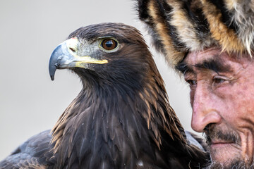 A Mongolian eagle hunter, a berkutchi, prepares to hunt with his bird on a September day in Mongolia.