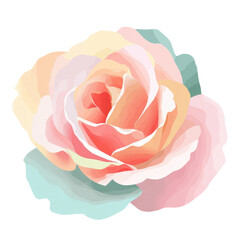 Soft pastel orange and pink rose blossom vector illustration isolated