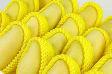 Fresh Golden Vietnamese Mangoes in Protective Foam Netting Ready for Import Export