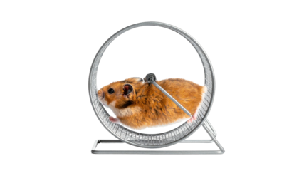 A fluffy brown hamster runs furiously in a metallic exercise wheel on a simple stand against a black background