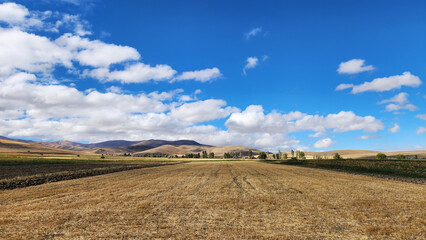Empty crop field in Central Anatolia in the morning of a cloudy day in autumn