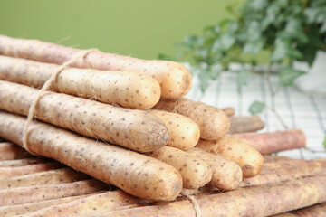 Fresh Chinese Yam Roots from Henan Province Farm Harvest Display