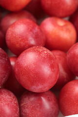 Fresh Red Plums with Water Droplets - Organic Stone Fruit Close-up