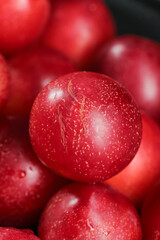 Fresh Red Plums with Water Drops - Juicy Stone Fruit Close-up Macro Photography