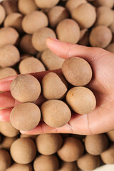 Dried Longan Fruits in Hand - Traditional Asian Tropical Fruit Snack with Brown Shells