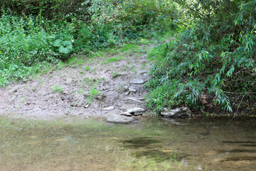 This image shows a tranquil, clear body of water with a sandy bottom, where small fish are visible swimming freely beneath the surface. Sunlight penetrates the water, creating shimmering reflections a