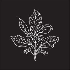 Vector illustration: white line art of leaves and berries on black background eps silhouette