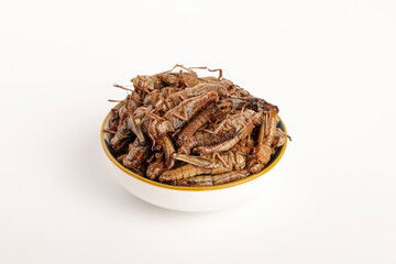 Fried Grasshoppers Insects Bowl White Background Shandong Traditional Asian Protein Snack Food Delicacy