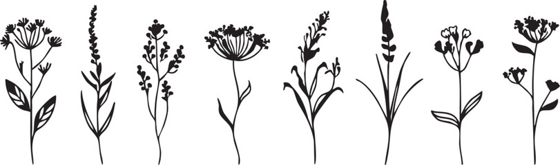 Wildflower vector pack: black and white floral illustrations for design eps silhouette