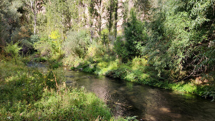 A September afternoon view of the Melendiz Stream  flowing through the famous Ihlara Valley in Aksaray Turkey