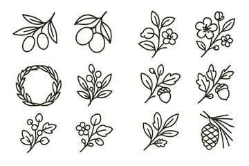 Fototapeta premium Elegant hand-drawn botanical elements and nature-inspired illustrations