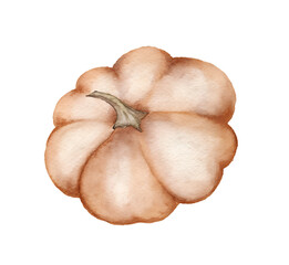 Watercolor illustration of a pale orange pumpkin on transparent background.