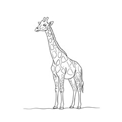 Giraffe standing elegantly in a simple line drawing style on transparent background  