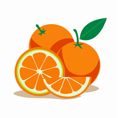 Fresh Oranges with Slices Juicy Citrus Fruit Illustration