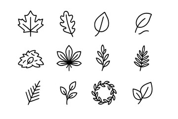 Autumn Leaf Icons. Autumn Leaves. Line outline icon set of Autumn Leaves: maple leaf, oak leaf, birch leaf,